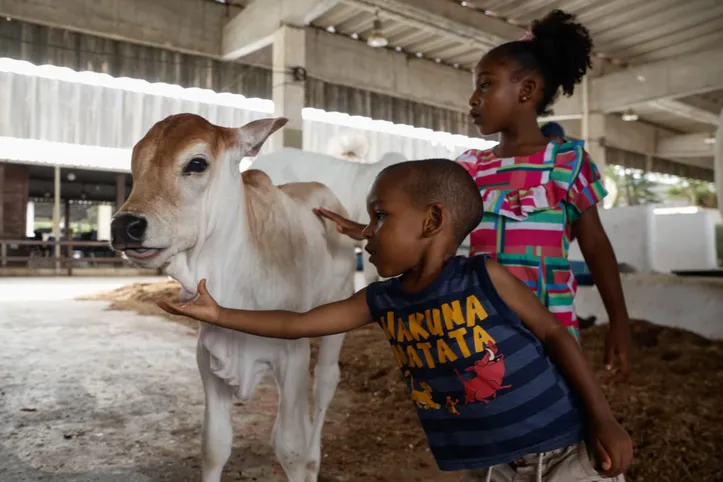 Imagem ilustrativa da imagem Fenagro revela novos “bichos influencers” que roubam a cena e os cliques
