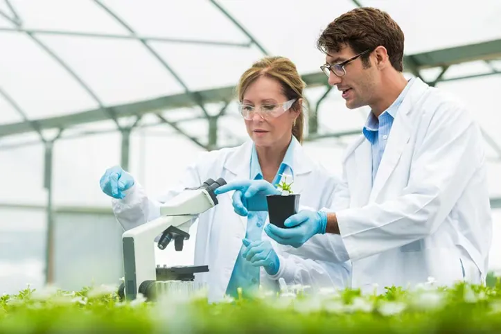 Imagem ilustrativa da imagem Fim do escritório? Veja 25 profissões que vão bombar no Brasil em 2026