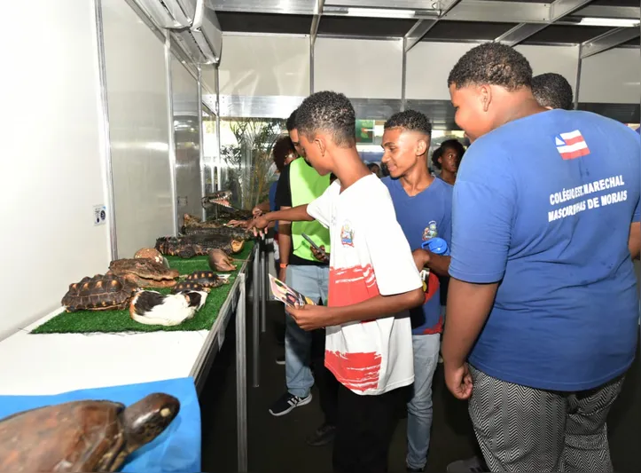 Imagem ilustrativa da imagem Leão, vísceras e ciência: museu mostra como são os animais por dentro