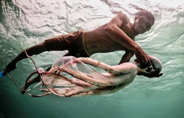Imagem ilustrativa da imagem Nômades do mar: a vida de um povo que domina profundezas dos oceânos
