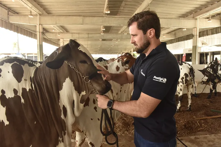Imagem ilustrativa da imagem Profissão em alta: como trabalham os veterinários de animais do campo