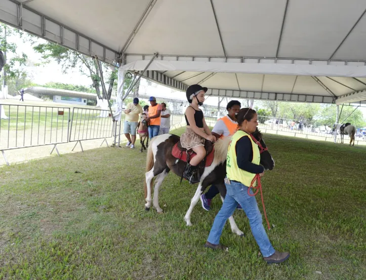 Imagem ilustrativa da imagem Roteiro infantil: 12 atrações imperdíveis para as crianças na Fenagro