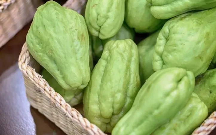 O chuchu também fortalece o sistema imunológico, auxilia no trânsito intestinal e ainda contribui para prevenir o envelhecimento precoce