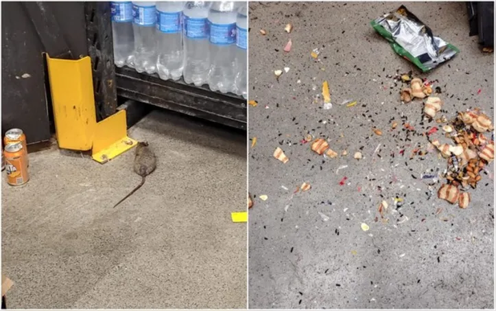 A fiscalização anterior também identificou falhas severas na limpeza