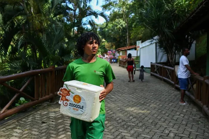 Imagem ilustrativa da imagem Animais do zoológico de Salvador recebem mimos diante do calor