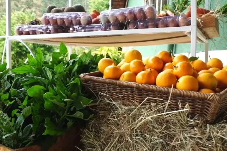 Imagem ilustrativa da imagem Ator de Três Graças surpreende com fazenda e vida no campo