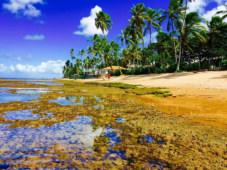 Praia do Forte, Mata de São João, Bahia