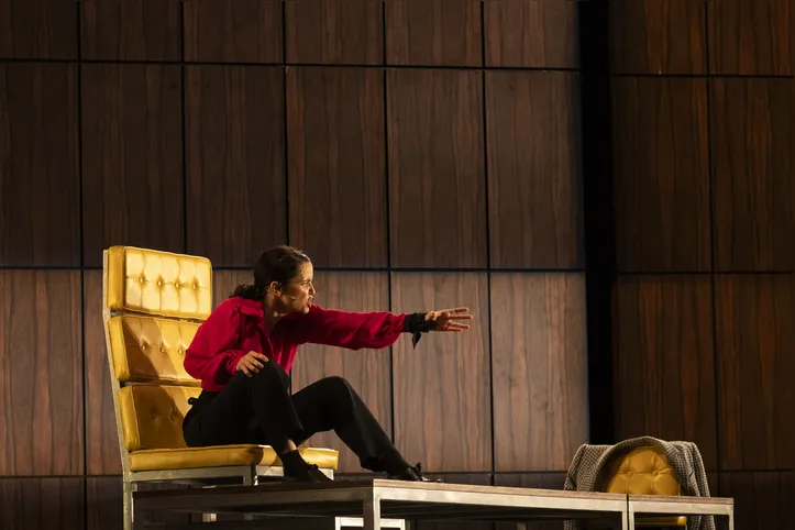 Imagem ilustrativa da imagem Débora Falabella estreia peça em Salvador: "Terra especial"