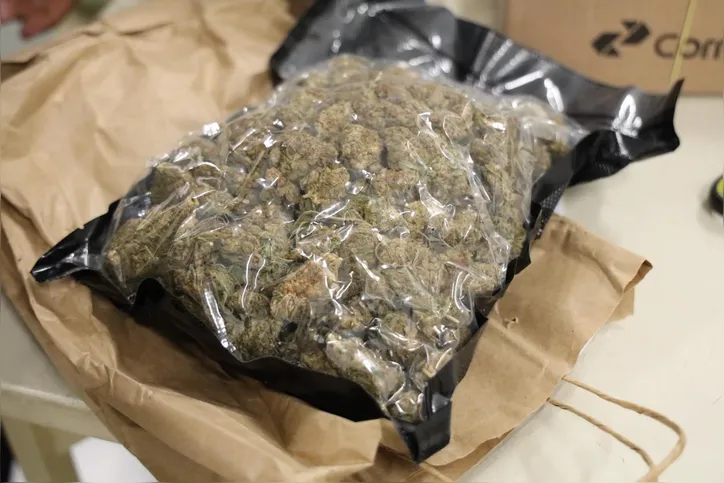 Drogas apreendidas em ação da PC nos Correiros