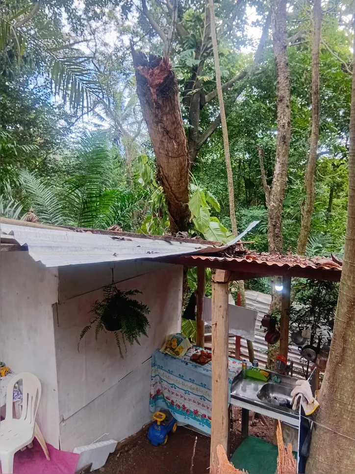 Imagem ilustrativa da imagem Dignidade ao chão: Família de Salvador denuncia demolição de imóvel