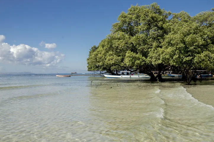 Praia e manguezal das Neves, Ilha de Maré