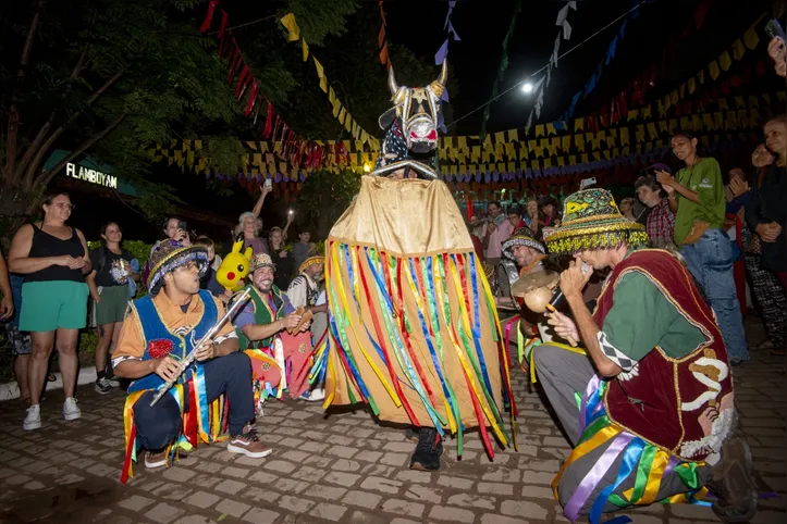Entrada do boi durante a apresentação