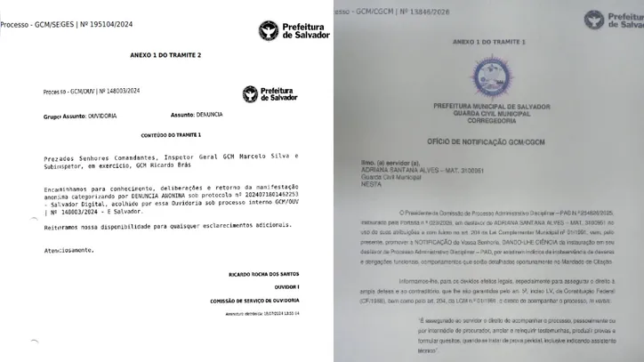 Procedimentos administrativos instaurados contra Adriana