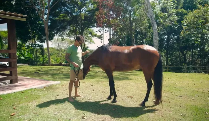 Imagem ilustrativa da imagem Veja lugar onde Daniel Cady passou a morar após término com Ivete