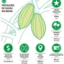Chocolate é competitivo no mercado: Bahia vê exportações saltarem 41%