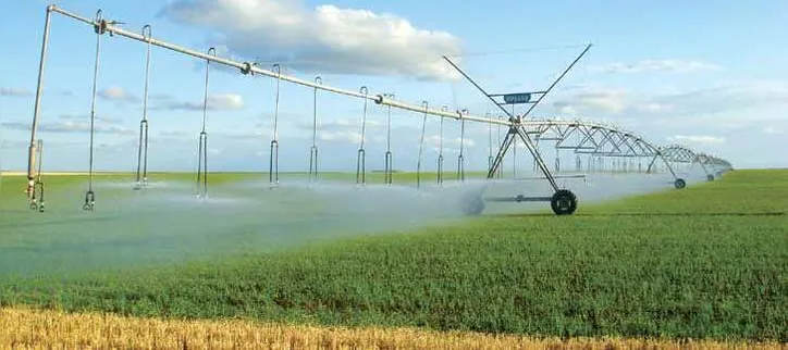 Imagem ilustrativa da imagem Matopiba: a fronteira que virou potência agrícola