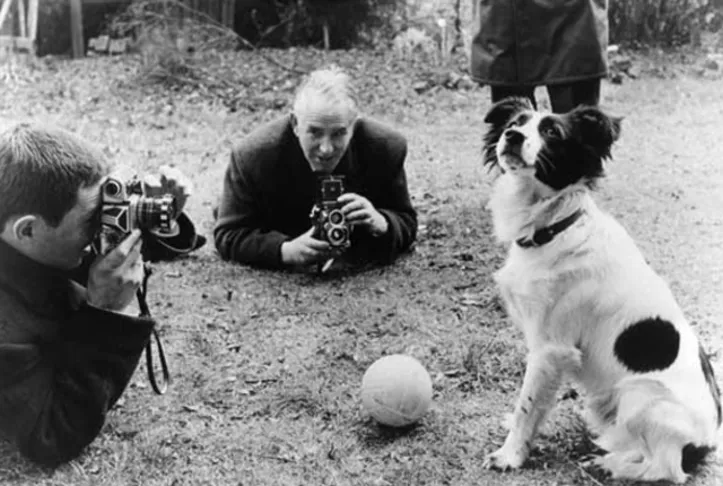 Cachorro que encontrou a Jules Rimet