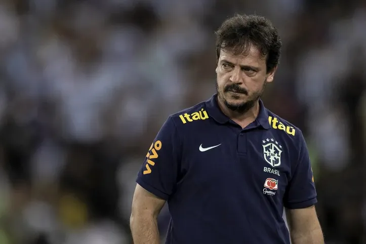 Fernando Diniz pela Seleção Brasileira