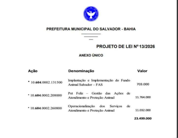 Imagem ilustrativa da imagem Bruno Reis solicita crédito especial à Câmara para reclassificação orçamentária