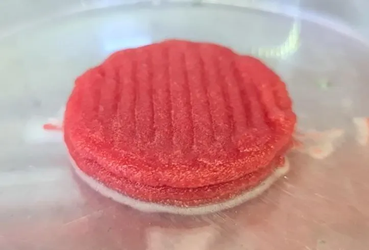 A proteína é criada a partir de células musculares bovinas