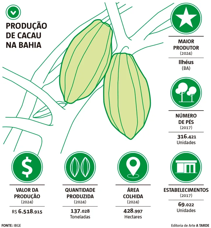 Imagem ilustrativa da imagem Chocolate é competitivo no mercado: Bahia vê exportações saltarem 41%