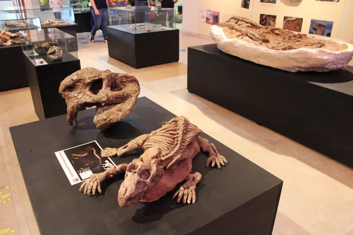 Imagem ilustrativa da imagem Cidade pequena do Brasil guarda dinossauros mais antigos do mundo
