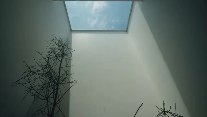 Ex-Globo vive em casa sustentável