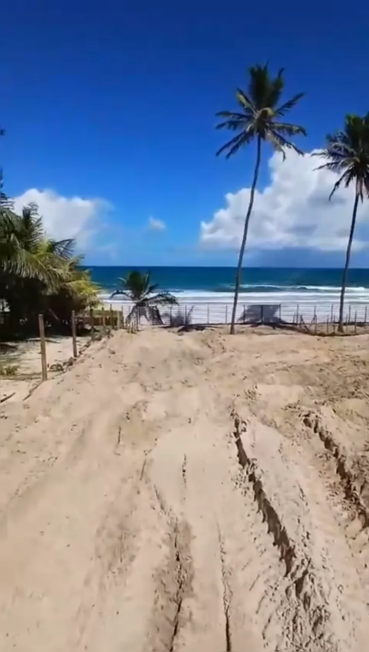 Imagem ilustrativa da imagem Comunidade denuncia crimes ambientais e avanço de máquinas