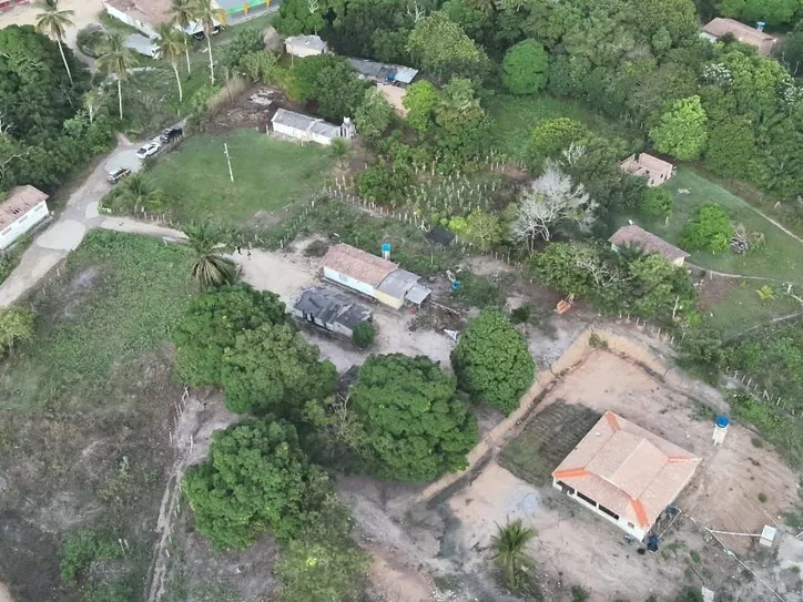 Imagem ilustrativa da imagem Conflitos entre indígenas e produtores rurais levam a prisões no sul da Bahia
