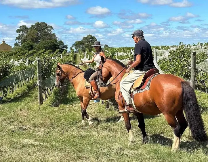 Imagem ilustrativa da imagem Conheça a fazenda luxuosa de Galvão Bueno com mais de 100 hectares
