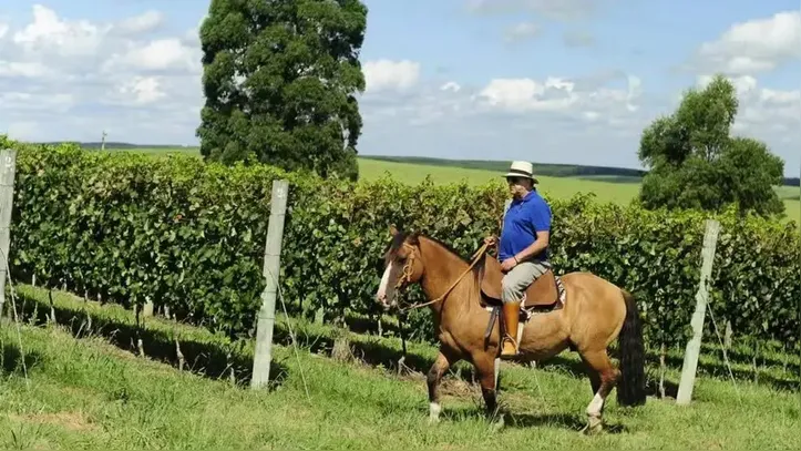 Imagem ilustrativa da imagem Conheça a fazenda luxuosa de Galvão Bueno com mais de 100 hectares