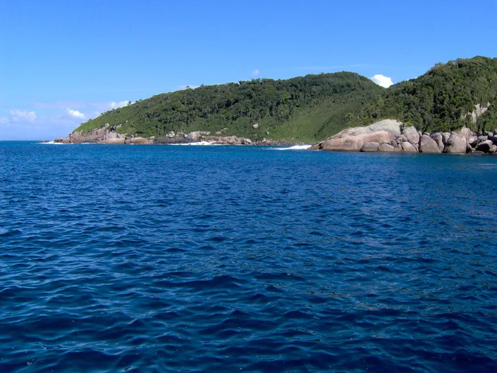 Ilha do Arvoredo-SC