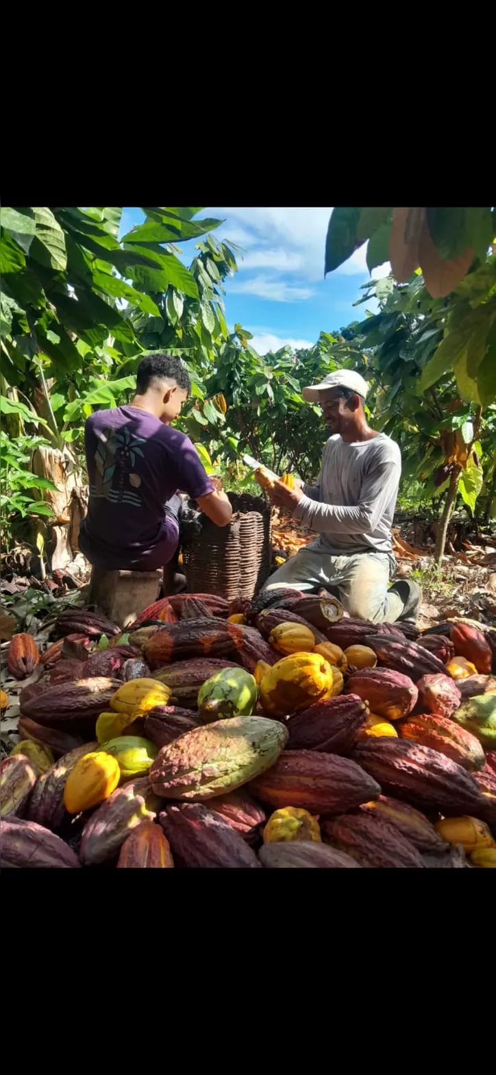 Eduardo e seu pai na roça