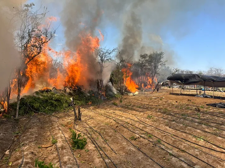 Imagem ilustrativa da imagem Esquema de tráfico entre Bahia e Rio é alvo de megaoperação em seis estados