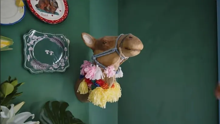 Imagem ilustrativa da imagem Galã da Globo rejeita estética e adota conceito de 'casa viva'; entenda