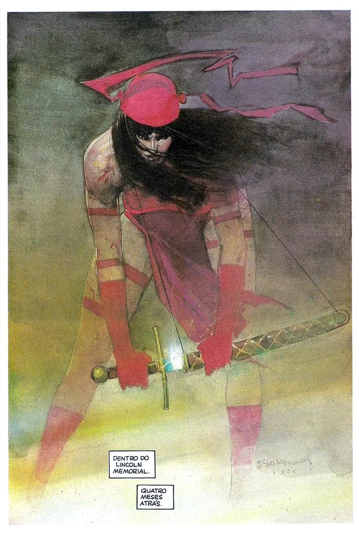 Imagem ilustrativa da imagem Gutemberg Cruz destaca o protagonismo feminino nas HQs em novo livro