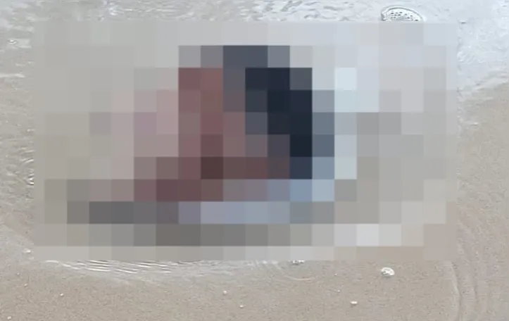 Cabeça foi localiza nesta sexta-feira, 3, também na praia