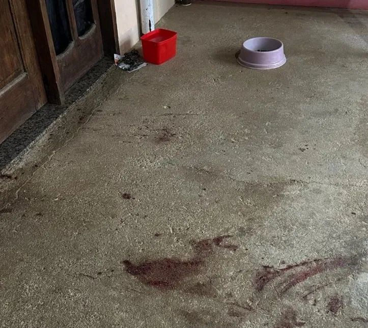 Homem matou cachorro a facadas