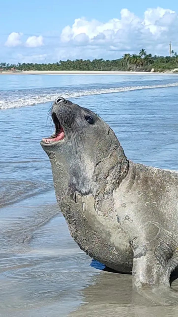 Leôncio estava sendo monitorado desde o início de março