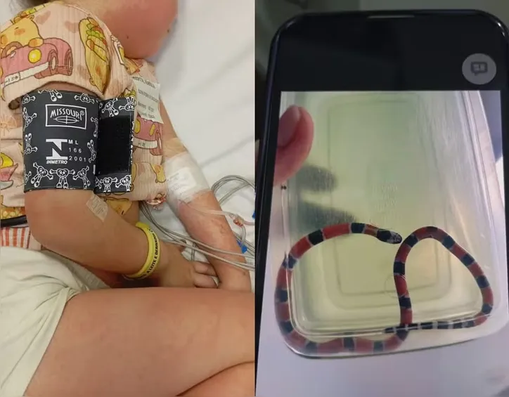 Registro da garotinha internada e da cobra
