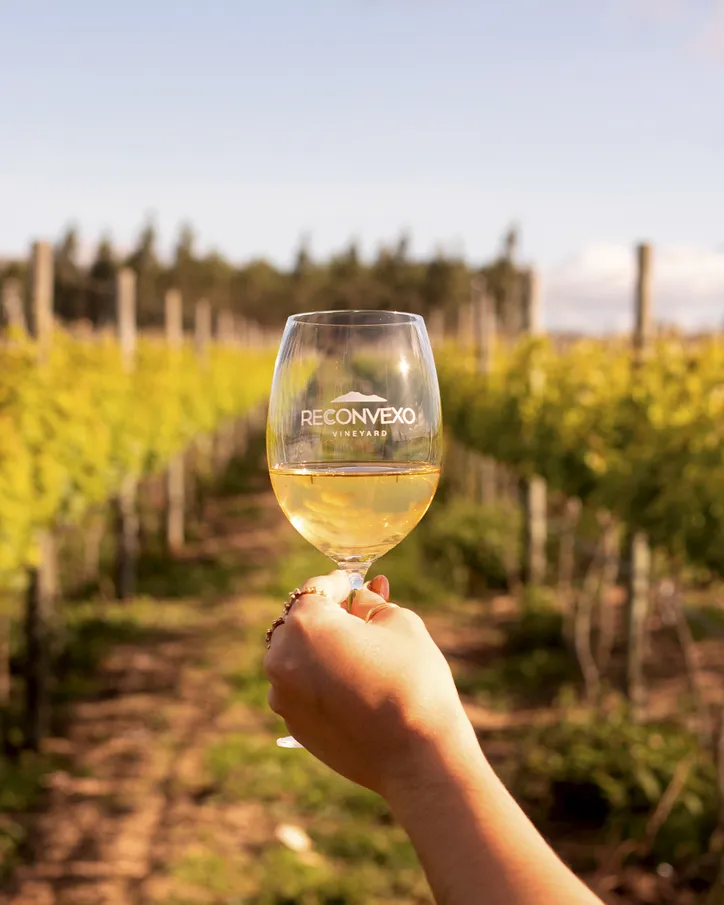 Vinícola Reconvexo

FOTO Acervo Vinícola Reconvexo