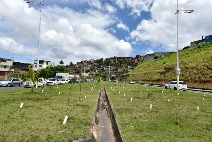 Novo trecho na Avenida 29 de Março