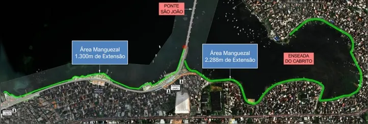 Projeto de plantio de manguezais