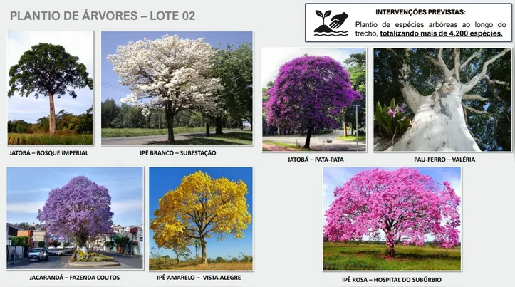 Imagem ilustrativa da imagem Além dos trilhos: como o VLT de Salvador promete transformar a estética e a economia da cidade