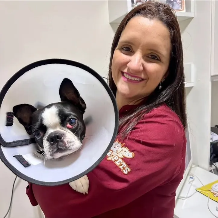 A veterinária oftalmologista Miúcha Furtado em atendimento
