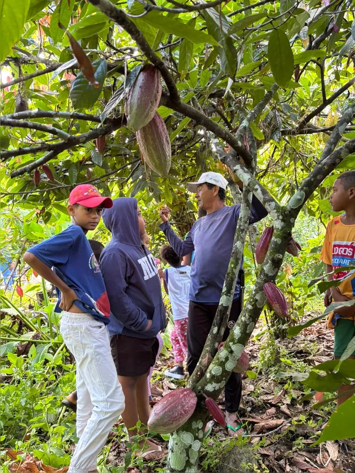 Cacique Reinildo (no centro) quer que a Aldeia do Mamão passe a produzir chocolate