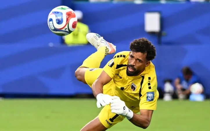 Vozinha na Copa do Mundo