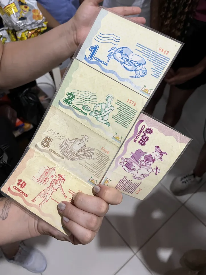 Moedas Conchas de diversos valores