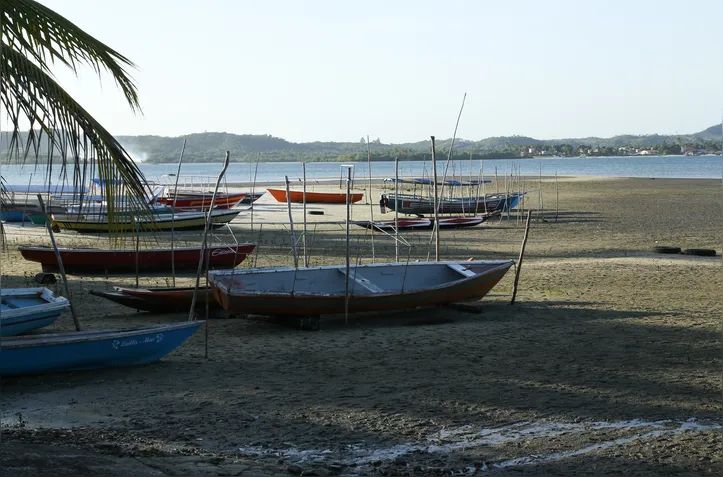 Imagem ilustrativa da imagem Concha: a moeda que mudou destino de pescadores e driblou crise em ilha na Bahia