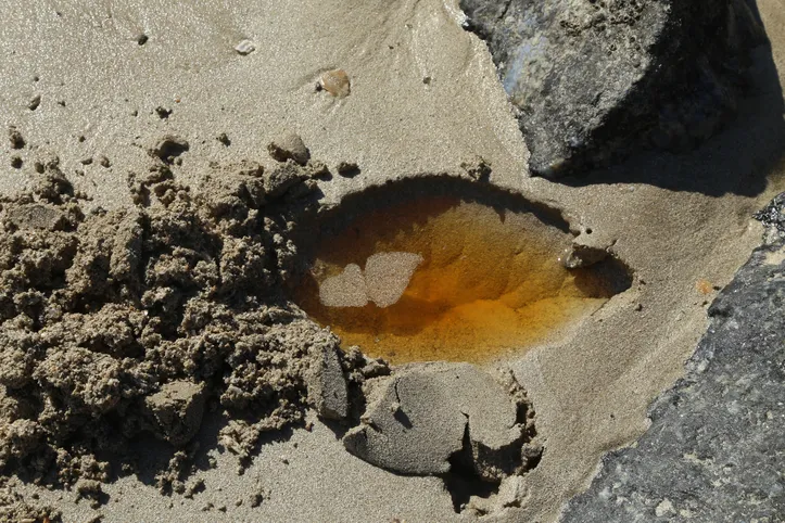 Manchas na areia da praia de São Tomé de Paripe